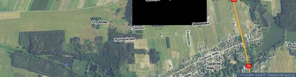 Zdjęcie satelitarne Brzozowa ul.
